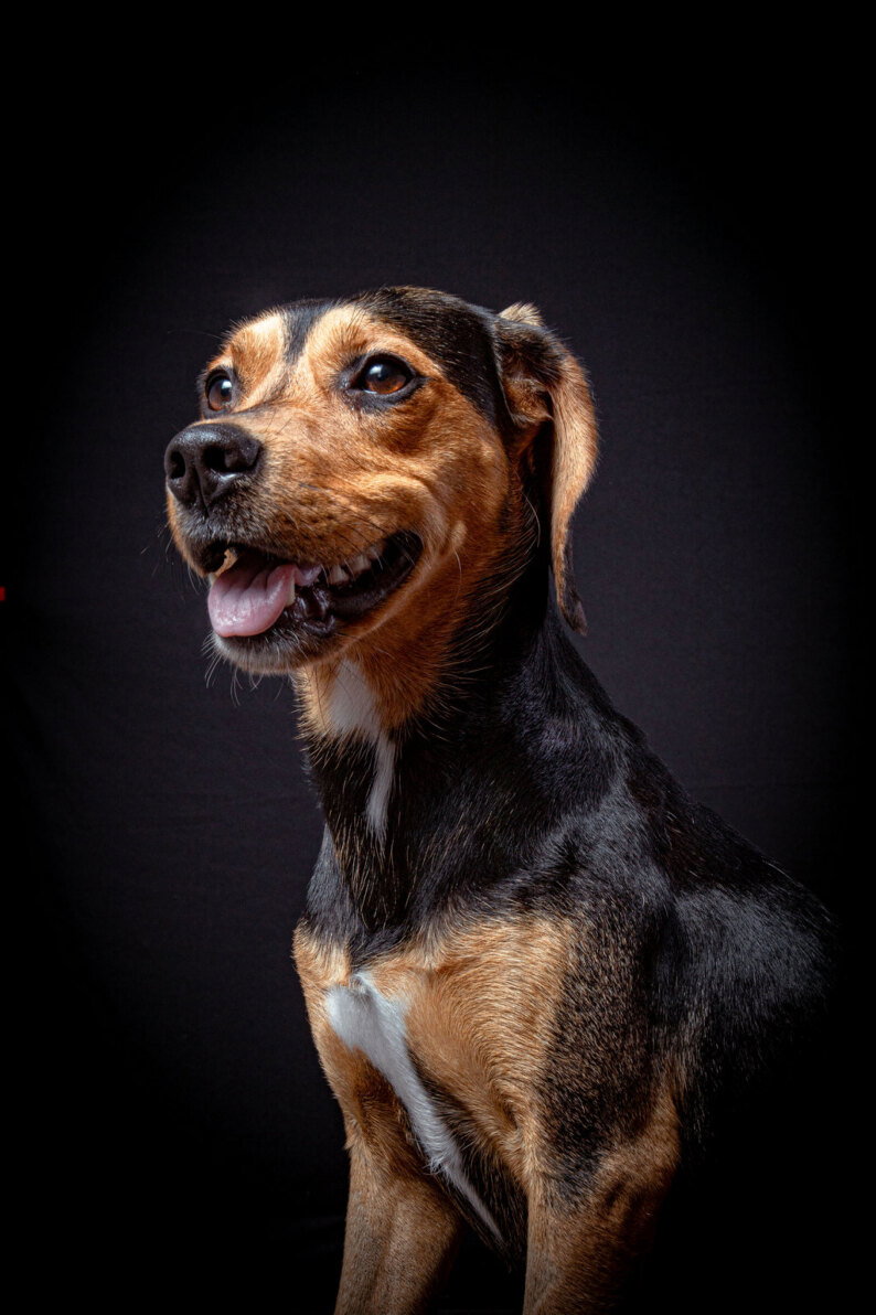 497542213_1323901222609023_3513633721432642559_n