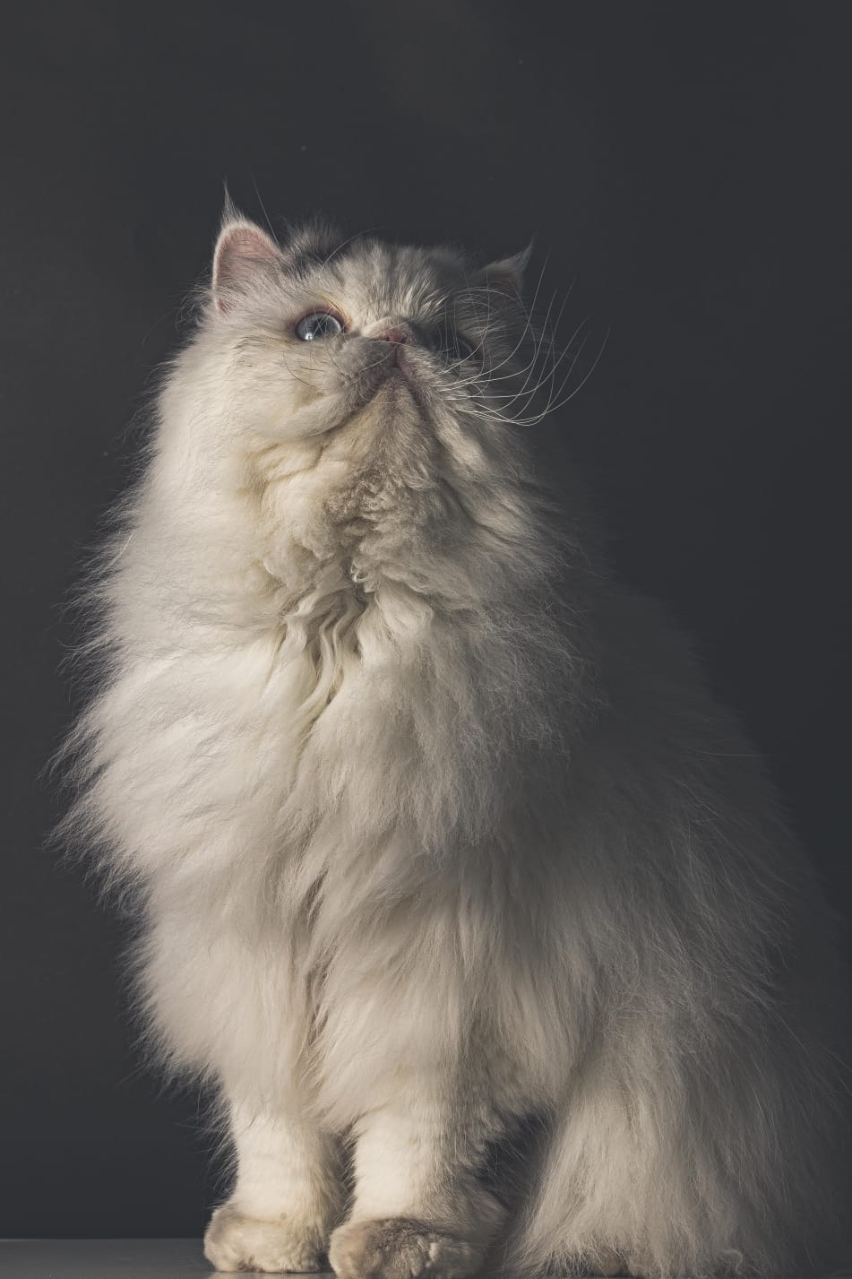 Imagem do WhatsApp de 2025-08-14 à(s) 05.08.07_869e8ea7