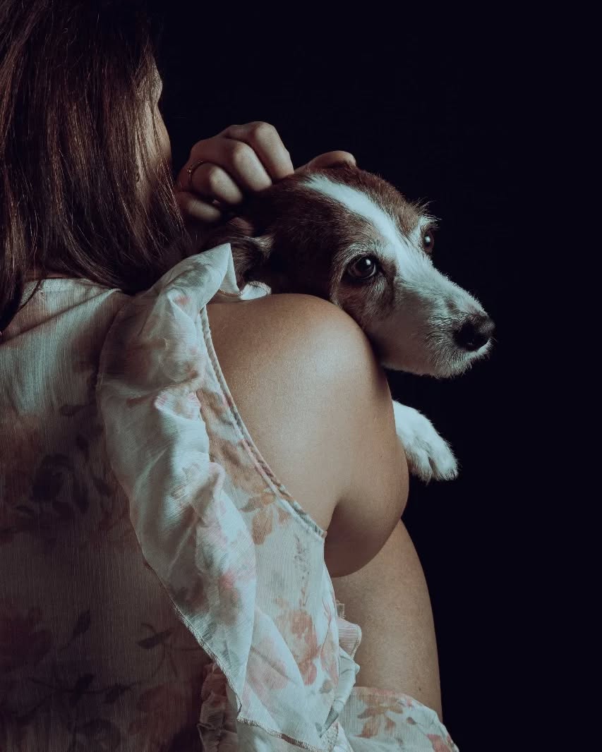 petfocusbrasil_1712532160_3341284397803833238_13460761