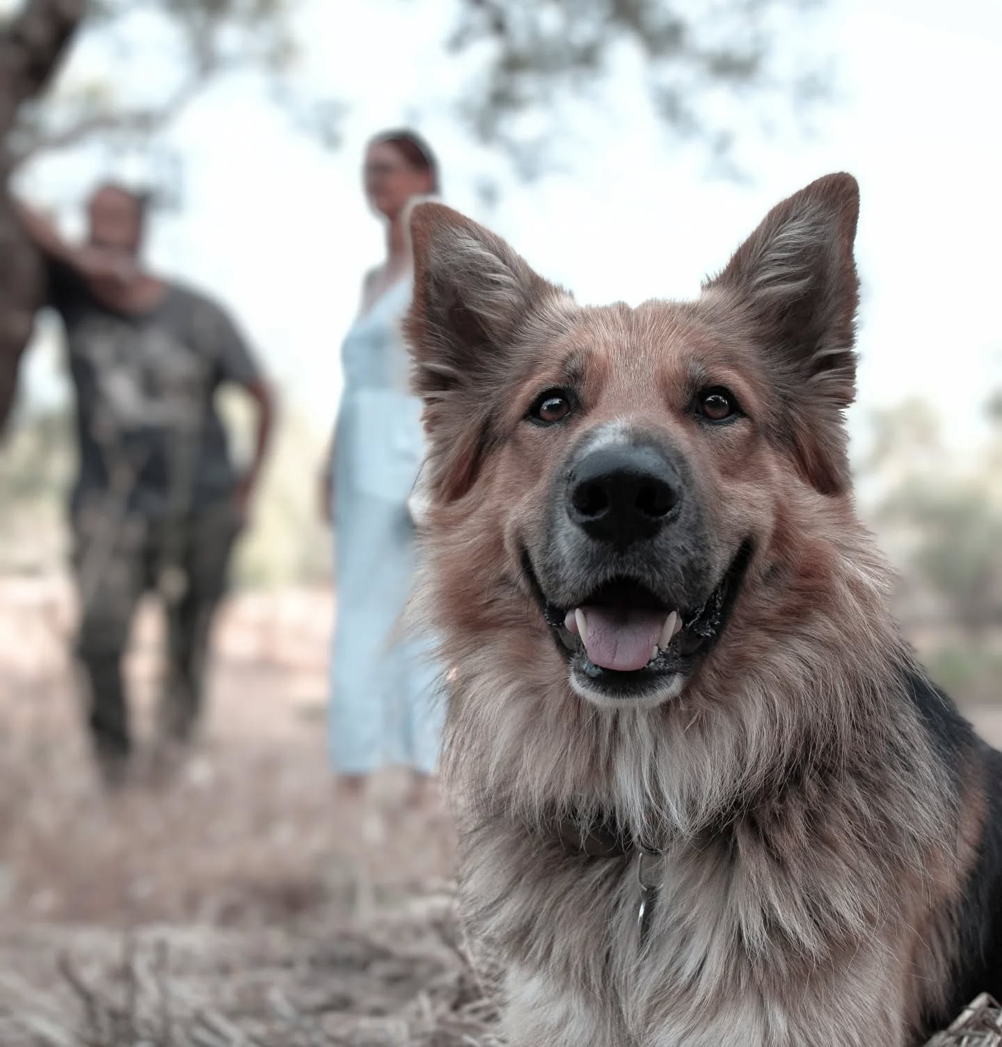 petfocusbrasil_1714524567_3357997912945908102_13460761