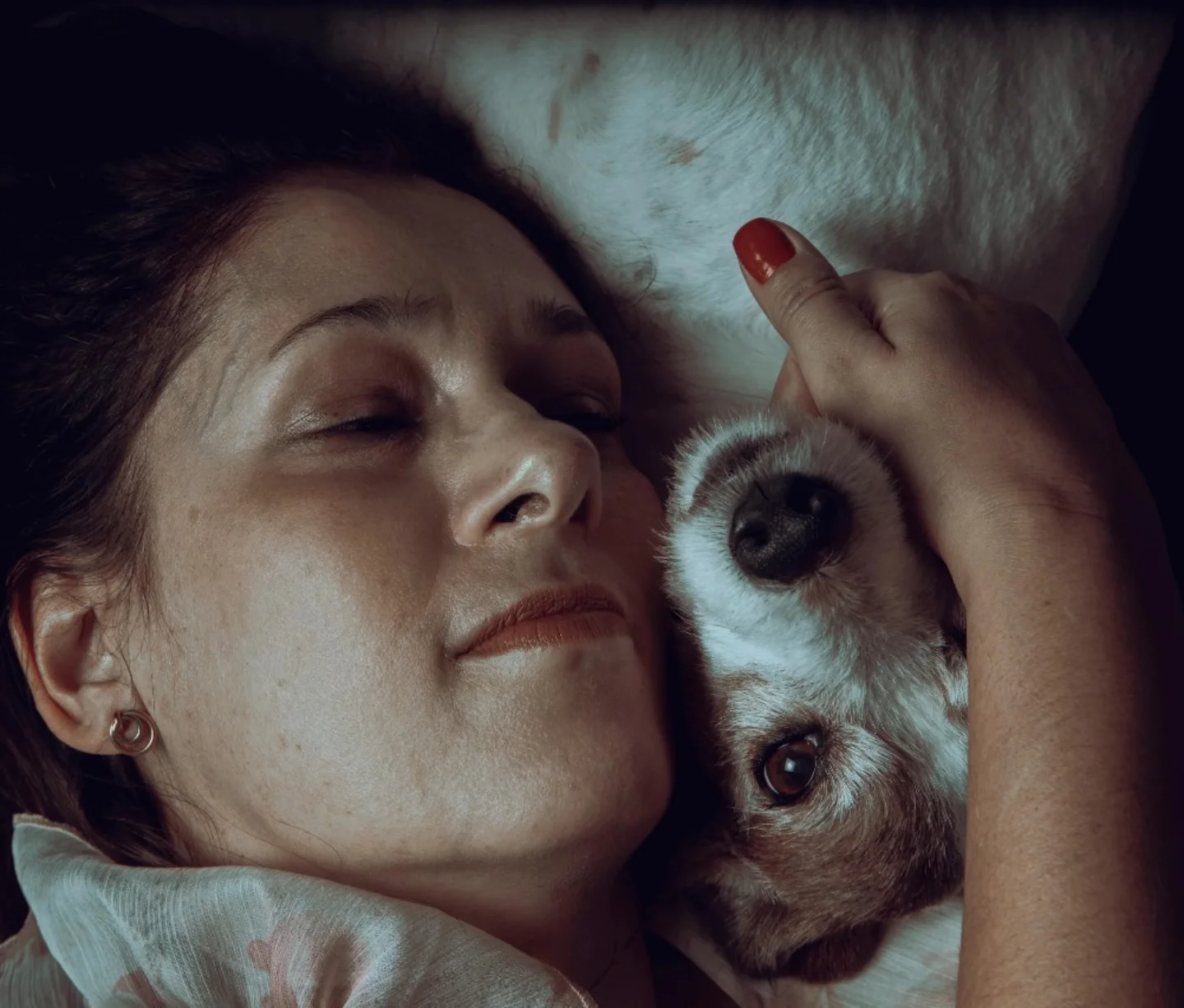 petfocusbrasil_1745843218_3620717804443352064_13460761