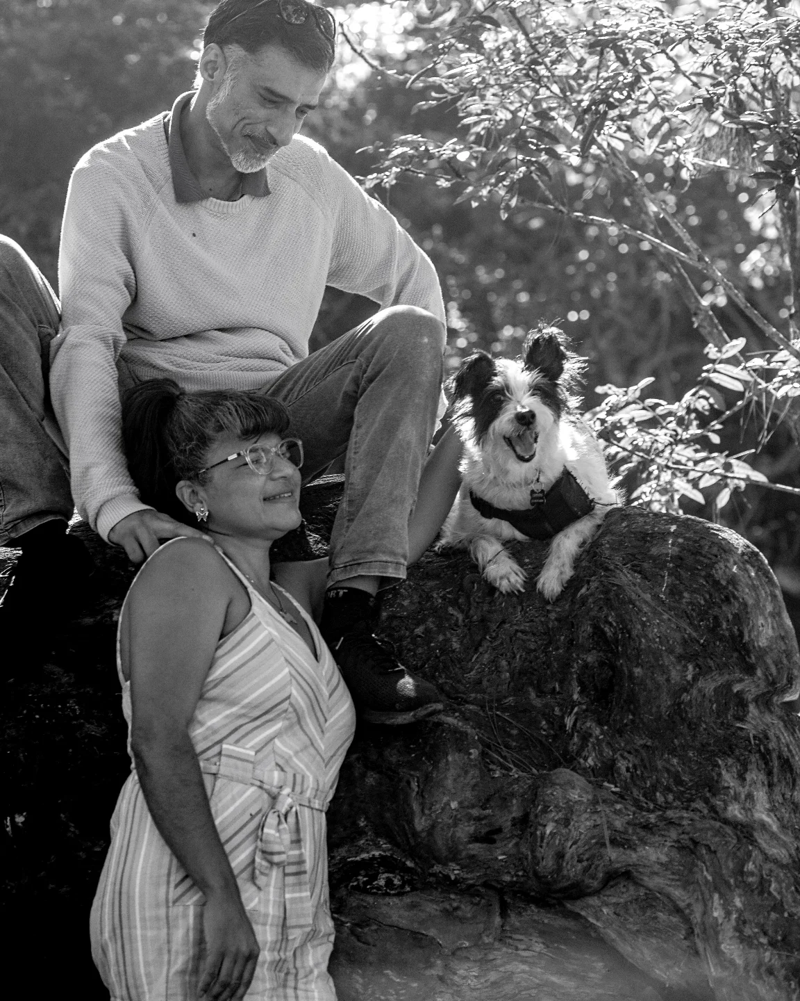 petfocusbrasil_1747689796_3636208019265957874_13460761